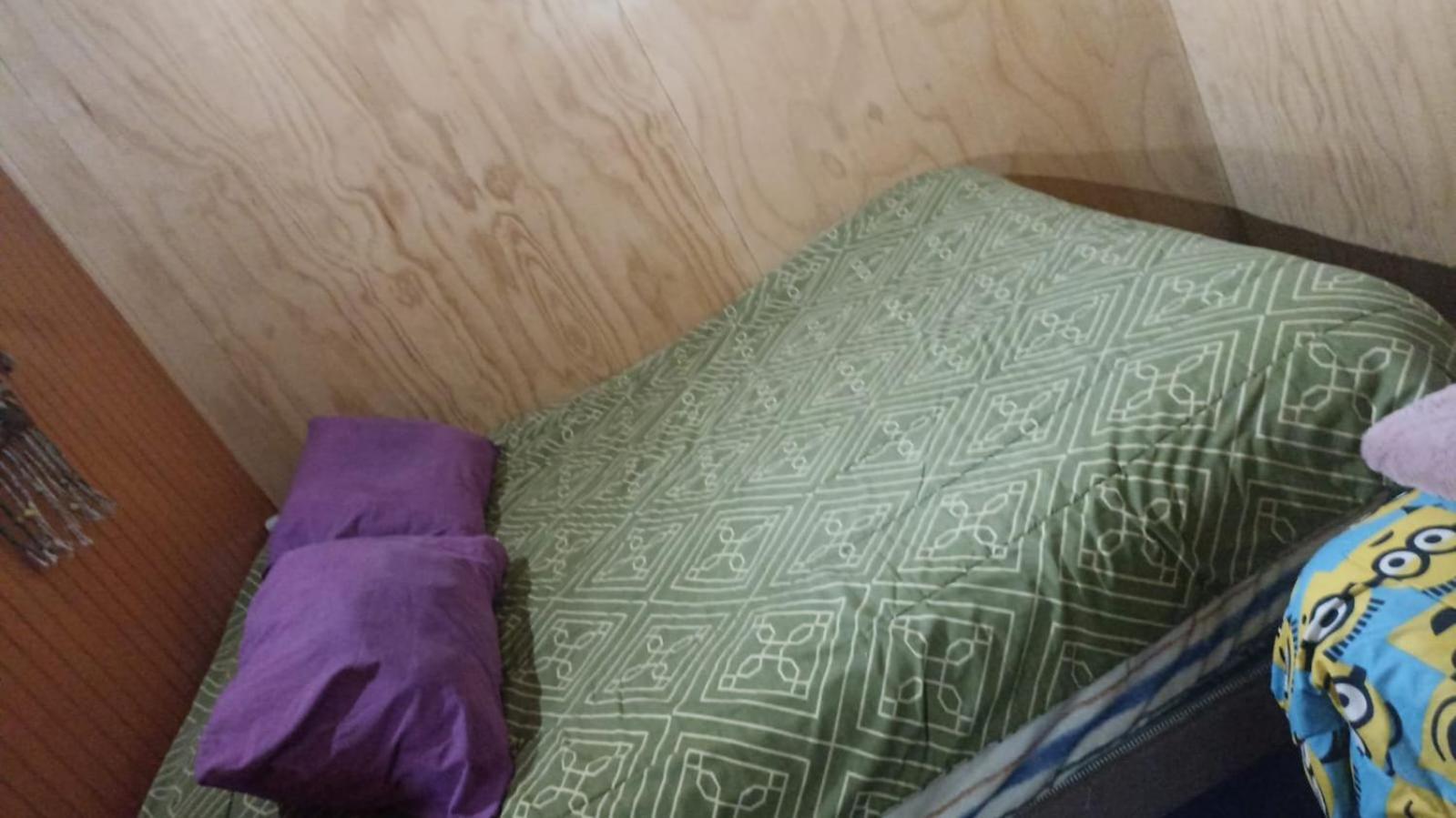 Hospedaje Mirador Quellón المظهر الخارجي الصورة